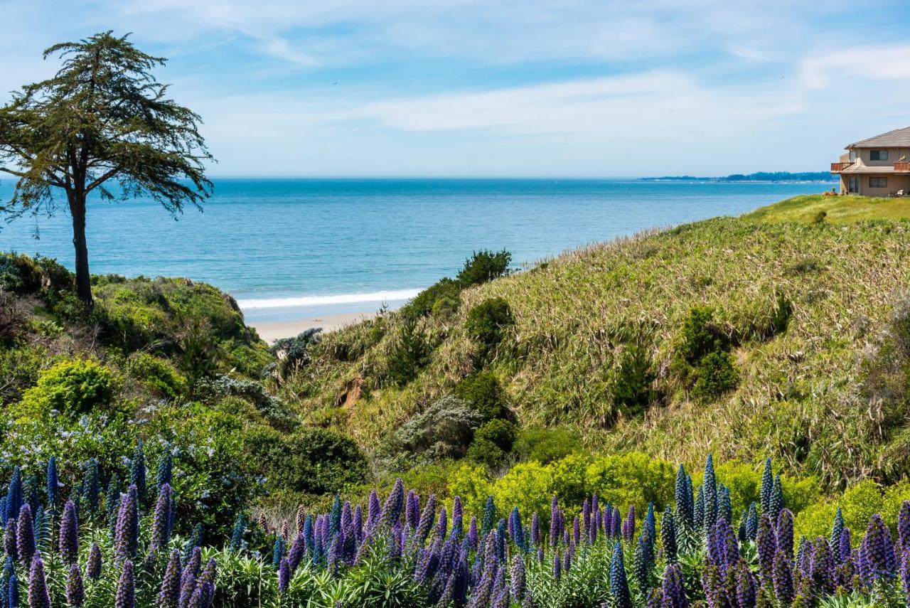 Seascape Beach Resort Aptos Exteriör bild